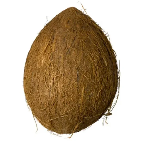 Fresh Coconut (st)