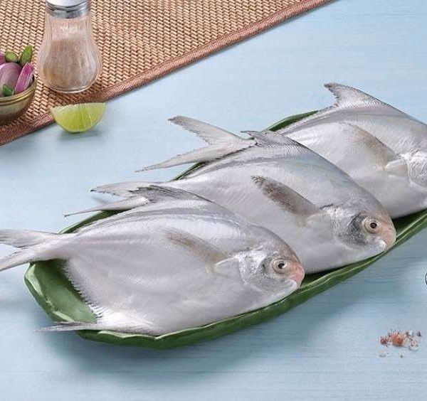 Silver pomfret 1kg Fryst