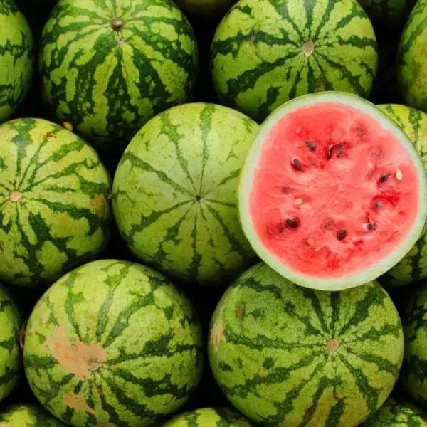 Water melon(Per Kg)