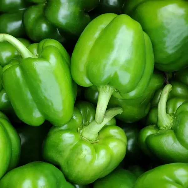 Green Capsicum(Per Kg)