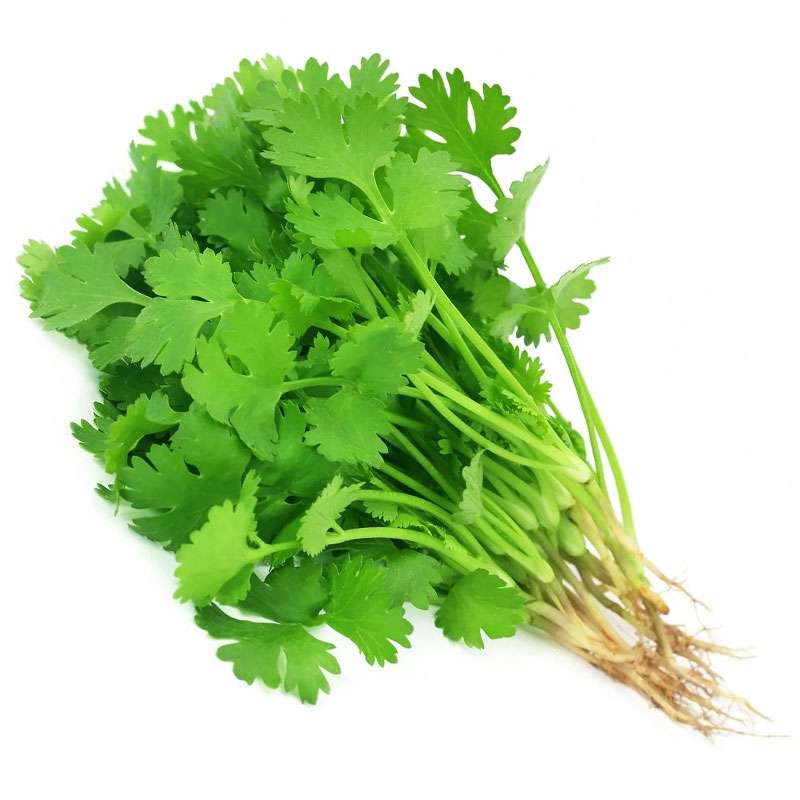 corr.jpg Coriander(Dhania) Leaves(Per Bundle) - Image 1