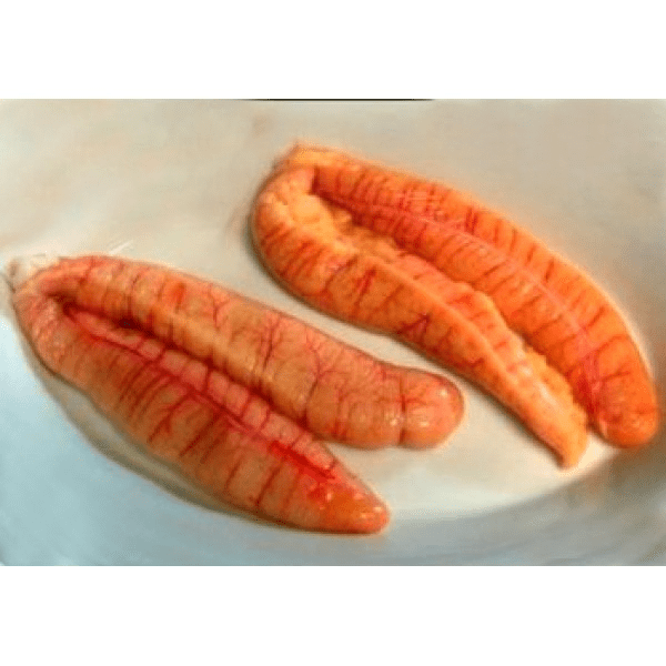 Ruhu Fisk Egg  Block