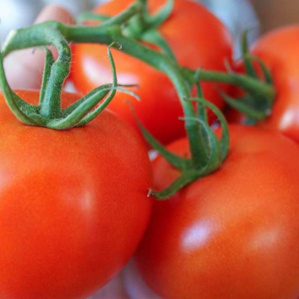 Tomatoes(Per Kg)