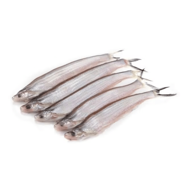 KAJOLI / BASHPATA (কাজলী/বাঁশপাতা) Fish Block 250g
